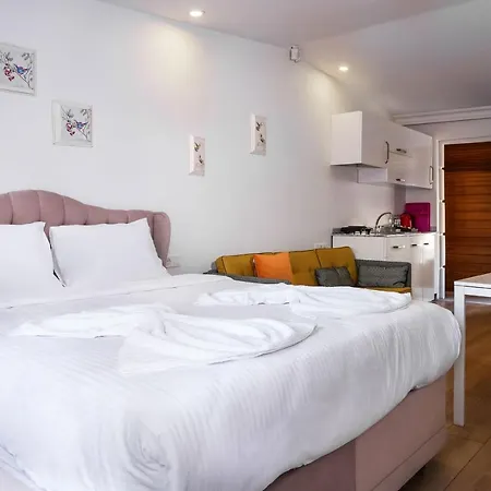 For You Mansion Sultanahmet-special Class Aparthotel